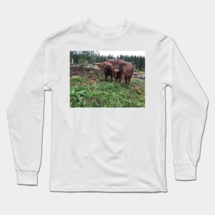 Scottish Highland Cattle Bulls 2082 Long Sleeve T-Shirt